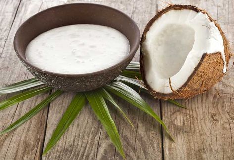 My Obession With Coconut Milk | Foodal.com Coconut Curd, Soup Summer, Coconut Water Popsicles, Coconut Water Benefits, Water Kefir, Coconut Milk Recipes, Clean Fridge, Air Kelapa, Curd Recipe