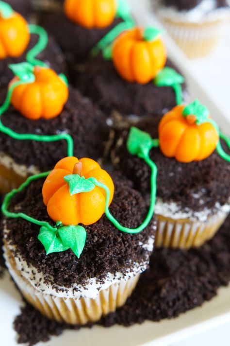 spiced pumpkin cupcakes, topped with buttercream, crushed cookies, and the cutest marzipan pumpkins | bakeat350.net Moist Apple Cake, Apple Crumb Cakes, Pumpkin Patch Party, Thanksgiving Cupcakes, Patch Party, Fall Cupcakes, Fall Desserts Easy, Pumpkin Birthday, Thanksgiving Treats