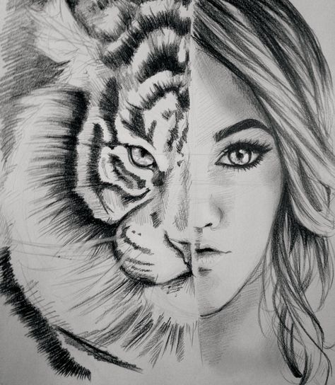 #sketch #art #drawing #tiger Water Tiger, Tiger Sketch, Zoo Ideas, 18th Birthday Decorations, Tiger Pictures, Drawing Animals, In The Zoo, The Zoo, Sketch Art