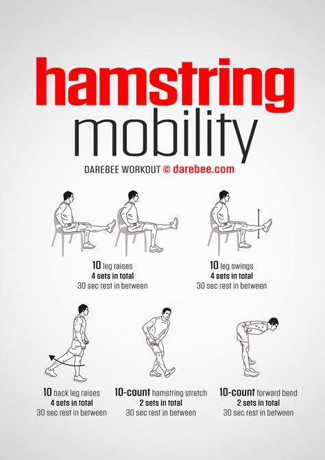 Hamstring Mobility Workout Kickboxing Leg Workout, Flexibility And Mobility Workout, Hamstring Mobility, Darbee Workout, Stretches For Tight Hamstrings, Mobility Workout, Tight Hamstrings, Hamstring Workout, Hamstring Stretch