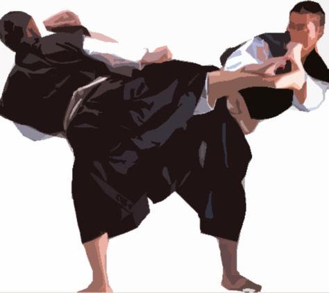 Shorinji Kempo, Wall Mounted Pc, Martial Arts Styles, Martial Art, Cpr, Kung Fu, Art World, Karate, Martial Arts