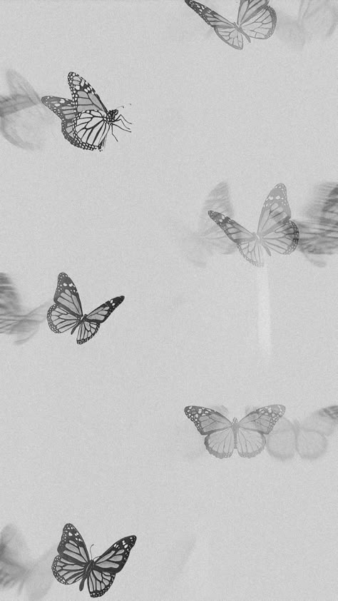 Boho Butterfly Wallpaper, Grey Wallpaper Iphone, Penanda Buku, Boho Butterfly, Wallpaper Boho, Phone Wallpaper Boho, Butterfly Wallpaper Iphone, Dark Phone Wallpapers, Dear John