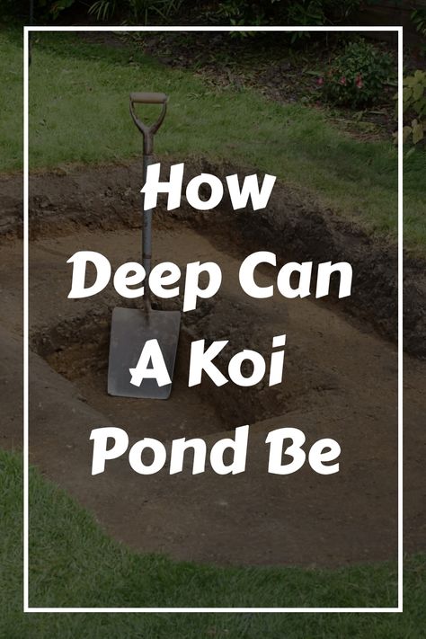 How Deep Can A Koi Pond Be text over a partially dug hole with a shovel inside. Pond Diy Ideas, Koi Pond Landscaping, Diy Backyard Pond, Japanese Koi Pond, Koi Pond Backyard, Pond Diy, Anaerobic Digestion, Koi Pond Design, Delicate Aesthetic