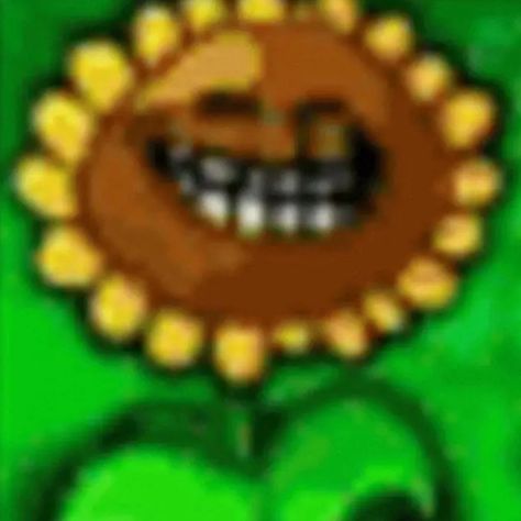 Animated Gif, Sunflower, Gif, Zombies