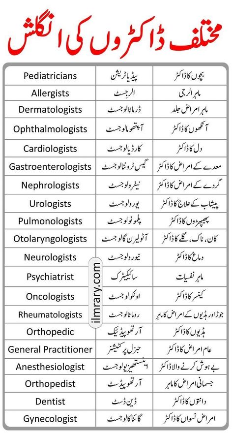 Learning English Speaking, Types Of Doctors, Medical Vocabulary, Vocabulary In English, Simple English Sentences, Basic English Sentences, English Phrases Sentences, Phrases And Sentences, Doctor Names