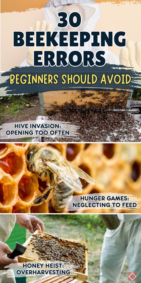 Ensure beekeeping success with these 30 essential tips to avoid rookie mistakes. Perfect for beginners in natural beekeeping or honey bee farming. Save this pin for later and click to learn how to keep your hive thriving and productive! How To Raise Bees For Honey, Bee Keeping For Beginners, Diy Beekeeping, Natural Beekeeping, Honey Bee Farming, Honey Bees Keeping, Bee Farming, Honey Bee Garden, Harvesting Honey