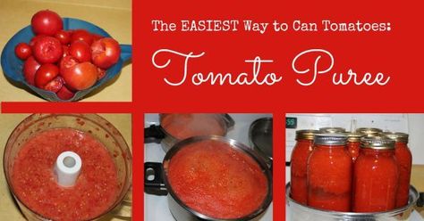 The Easiest Way to Can Tomatoes is Tomato Puree Can Tomatoes, Homemade Spaghetti Sauce, Canned Food Storage, Fresh Tomato Sauce, Tomato Puree, Six Figures, Tomato Sauce Recipe, Homemade Tomato Sauce, Canning Tomatoes