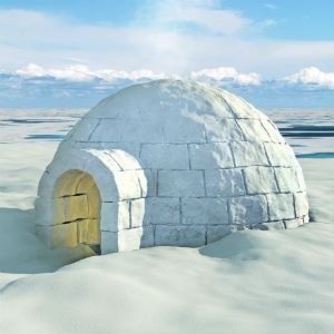 Igloo Images, Igloo Drawing, Igloo House, Snow Fort, Different Types Of Houses, Blue Butterfly Wallpaper, Snow Activities, Unicorn Drawing, Snow Sculptures