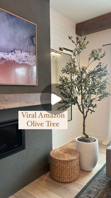 79K views · 4.6K likes | Katherine Starks on Instagram: "Comment  SAGGY BALLS  To have me send you this viral amazon olive tree right to your DM’s!   Amazon decor  Home decor Real life" Olive Tree Decoration, Olive Tree Decor Ideas, Black Olive Tree, Amazon Decor, Faux Tree, Olive Tree, Tree Decor, Entryway Decor, Decor Home