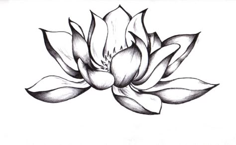 Hur Man Ritar Blommor, Black Lotus Tattoo, Lotusblume Tattoo, Lotus Flower Drawing, Tattoo Wallpaper, Lotus Flower Tattoo Design, Lotus Tattoo Design, Flower Tattoo Drawings, Polynesian Tattoos