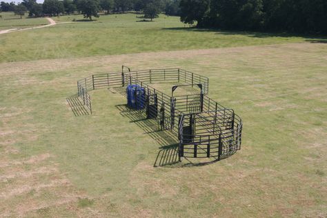 Rough Stock Open Corral System - 35 Head Cattle Corrals Design, Sheep Shelter, Cattle Gate, Cattle Corrals, Cattle Panels, Pen Design, Kansas, Design, Pen Designs