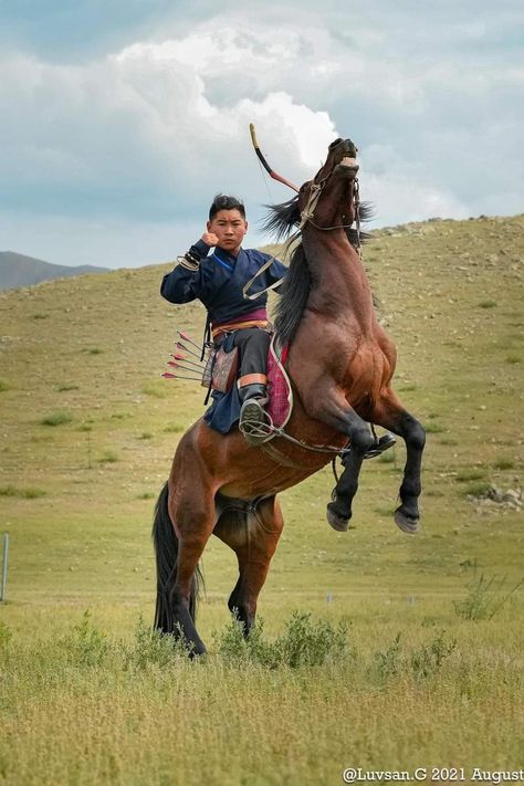 Historic Armor, Mongolian Horse, Horse Archer, Mughal Art Paintings, Mughal Art, Animal Reference, Bowfishing, Bowhunting, Horse Aesthetic