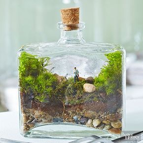 Terrario hadas Jardines: Take a Hike Terrariums Diy, Tattoo Plant, Garden Fairies Figurines, نباتات منزلية, Garden Figurines, Faeries Gardens, Moss Garden, Terrarium Diy, Garden Terrarium