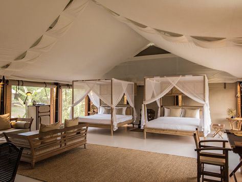 GALLERY – THE BEIGE Luxury Tent Resort Safari Lodge Interior, Tent Resort, Beige Luxury, Tented Camp, Tent Living, Campaign Furniture, Siem Reap Cambodia, Safari Tent, Tent Design