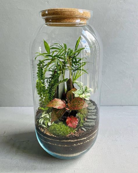 TERRARIUM GENIUS on Instagram: “Dream garden 😍 📷@glassgardenslondon . . . #terrariumgenius #terrariums #terrariumlove #terrariumscene #terrariumsofinstagram…” Terrarium Scene, Water Terrarium, Seed Starter Kit, Small Terrarium, Beautiful Terrariums, Plant Terrarium, Seed Starter, Moss Garden, Garden Terrarium