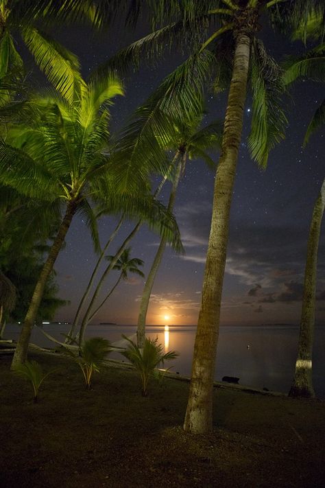 Gaze at gorgeous night sky while sitting on the beach in Tikehau Tropical Night Aesthetic, Tropical Beach At Night, Island Night, Night On The Beach, Beach Nights, Tropical Night, Beach At Night Aesthetic, Night Beach Aesthetic, Beach Night