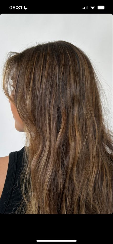 Low Light Light Brown Hair, Sunkissed Beige Balayage, Sunlights Balayage Brunette, Barely There Highlights Brown Hair, Sun Kissed Babylights, Sunny Brown Hair, Natural Partial Highlights, Surfer Highlights Brunette, Subtle Sunkissed Hair Brunette