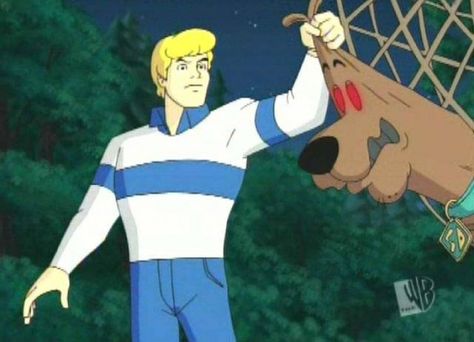 On the What's New Scooby-Doo cartoon Scooby-Doo Valentine's Day, the villain wearing the evil Scooby costume turned out to be ... Scooby Costume, Scooby Doo Villains, Scooby Doo Fred, Scooby Doo Scared, Scooby Doo Valentine, Shaggy Scooby Doo, Fred Jones, What's New Scooby Doo, Scooby Doo Meme