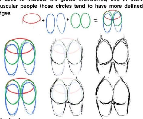 How To Draw Butts, Body Studies, Drawing Anime Bodies, Basic Sketching, Drawing Female Body, Body Shape Drawing, Female Torso, Art Tutor, Female Drawing