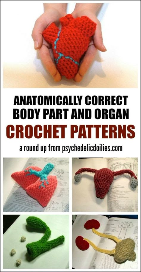 Organ Crochet, Crochet Anatomy, Amigurumi Design, Stitches Design, Crochet Bodies, Amigurumi Ideas, Crochet Gift, Granny Squares Pattern, Crochet Things