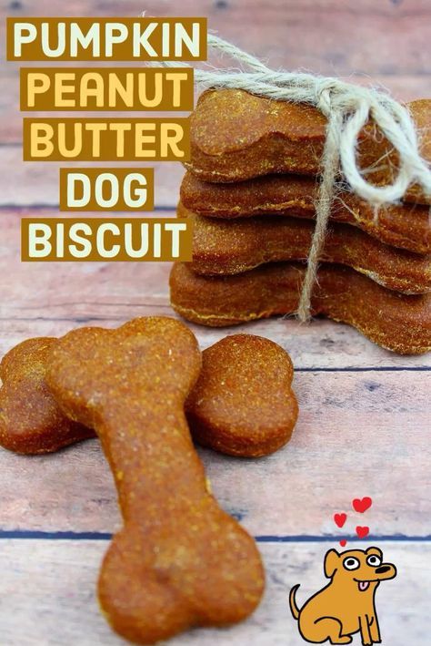 Dog Biscuit Recipe, Pumpkin Dog Biscuits, Peanut Butter Dog Biscuits, Dog Cookie Recipes, Homemade Dog Cookies, Easy Dog Treat Recipes, Dog Biscuit, Dog Biscuits Homemade, Dog Biscuit Recipes