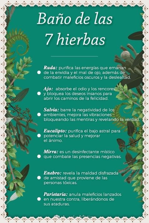 Fotor.com - ¡Editor y diseñador de fotos de clase mundial! Magia Das Ervas, Magic Herbs, Yoga Mantras, Magick Book, Herbal Magic, Spiritual Messages, Healing Herbs, Green Witch, Spirituality Energy