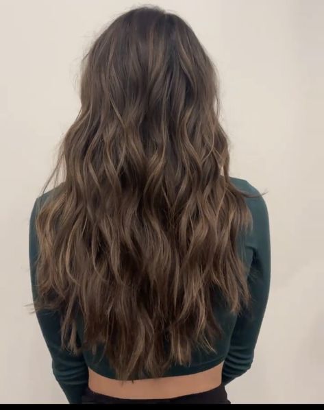 Dimension In Brown Hair, Brown Hair With Subtle Dimension, Full Brunette Hair, Light Highlights For Dark Brown Hair, Highlights Brown Hair Subtle, Natural Brown Hair With Dimension, Neutral Ashy Brunette, Brunette Hair No Highlights, Low Light Brown Hair