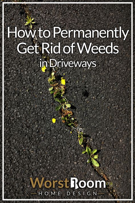 How to Permanently Get Rid of Weeds in Driveways How To Get Rid Of Weeds In Driveway, Kill Weeds In Driveway, Get Rid Of Weeds Permanently, Weeds In Driveway Cracks, How To Get Rid Of Weeds In Lawn, How To Get Rid Of Weeds In Rocks, Kill Weeds With Vinegar, Drive Ways, Kill Grass