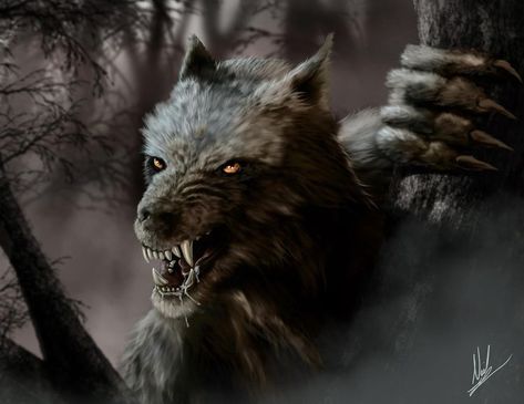 In The Pale Moonlight, A Wolf, Deviantart