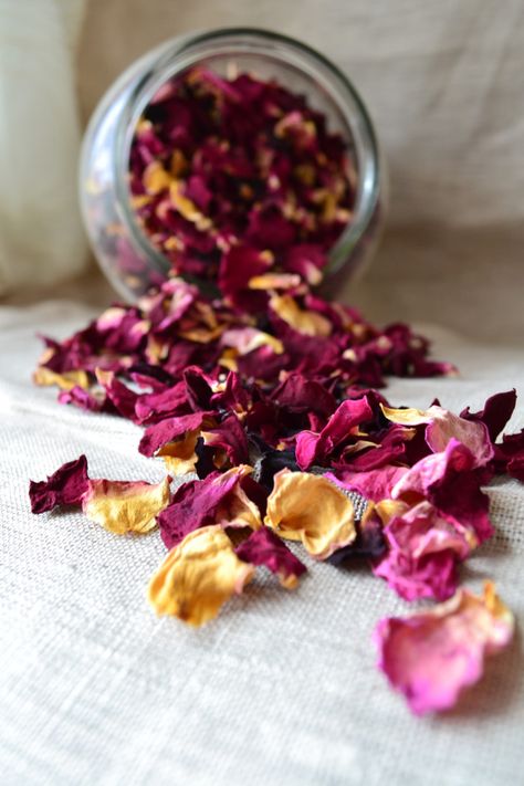 Uses For Rose Petals, Dried Rose Petals, Rose Petals, The Garden, Dried Flowers