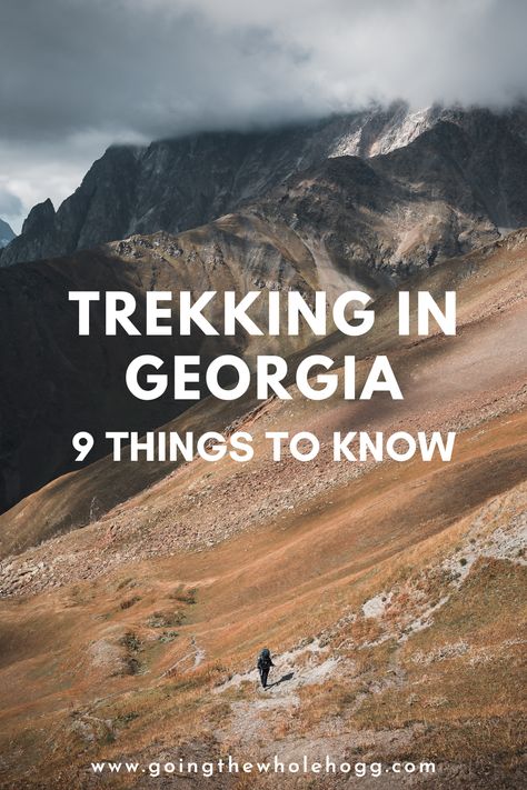 9 useful things to know about trekking in Georgia, home to the spectacular Caucasus Mountains. This guide covers the best regions for hiking in Georgia, when to trek, practical tips specific to the country (such as how to deal with aggressive sheepdogs, avoiding injury by Giant Hogweed, and sourcing camping supplies), and more. #Caucasus #AdventureTravel #Georgia #Hiking via @goingthewholehogg Georgia Mountains Places To Visit, Georgia Hiking, Hikes In Georgia, North Georgia Hiking, Georgia Hikes, Blue Ridge Georgia Hiking Trails, Kakheti Georgia, Georgia Travel Guide, Hiking In Georgia