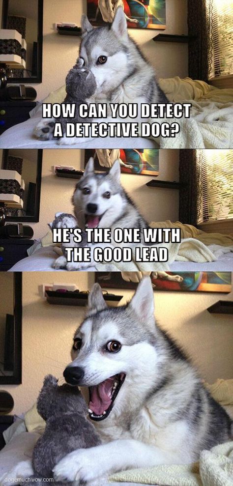 Such doggo skills #dog #joke #pun #pundog #doggo #funny #wow Bad Pun Dog, Husky Humor, Funny Dog Jokes, Dog Puns, Husky Funny, Funny Baby Memes, Dog Jokes, Dad Jokes Funny, Corny Jokes