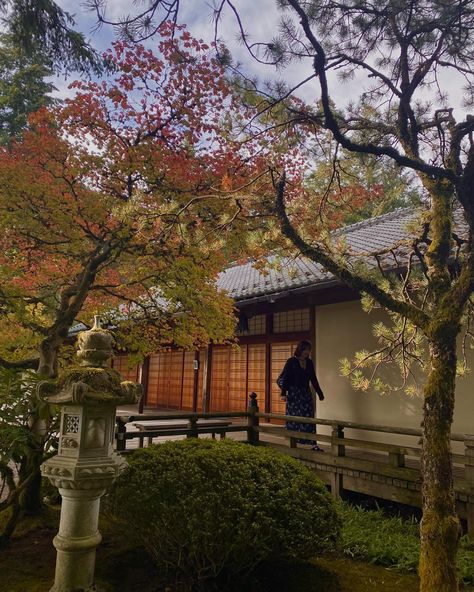 portland japanese garden, summer, fall Portland Japanese Garden, Japanese Garden, Summer Fall, Portland, Quick Saves