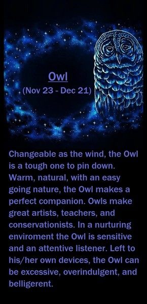 Native American Zodiac Sign, (Owl) by Kimberlee Edgar | ArtWanted.com Native American Zodiac, Zodiac Signs Symbols, Birth Chart Astrology, Native American Peoples, Zodiac Art, Art Contest, Birth Chart, American Indian, Art Movement