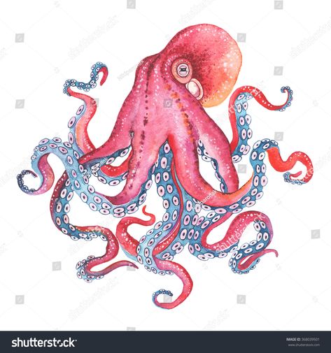 Octopus Art Project, Octopus Mural, Octopus Art Drawing, Octopus Watercolor Painting, Octopus Watercolor, Octopus Colors, Underwater Drawing, Kraken Art, Octopus Illustration