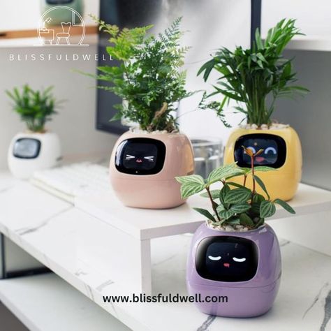 🌿 Elevate Your Space with Our Smart Plant Pot! 🌿 Perfect for desktops and small spaces, this sleek flower vase is ideal for green plants and ivy. Add a touch of nature to your home or office effortlessly. Shop Now: https://blissfuldwell.com/products/smart-plant-pot-small-flower-vase-for-desktop-green-plants-and-ivy-1 #BlissfulDwell #SmartPlantPot #GreenLiving #HomeDecor #officedecor #blissfuldwell #blissful #decorationideas #diy Aquarium Soil, Mini Plant Pots, Pot Design, Shelf Lighting, Grow Bags, Self Watering Planter, Mini Plants, Self Watering, Bedding Plants