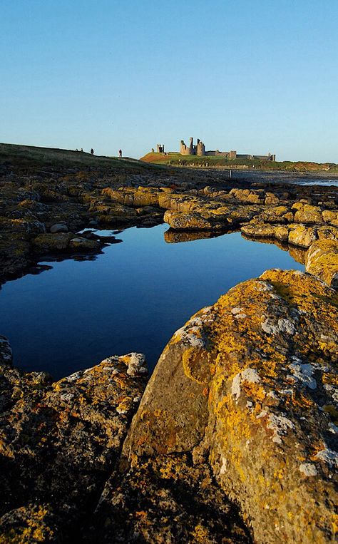 Rock pool and Dunstanburgh Castle from Craster , Northumberland Craster Northumberland, Dunstanburgh Castle, Castle Ruins, Dream Places, 25th Wedding Anniversary, Anniversary Trips, Rock Pools, Wedding Anniversary, Castle