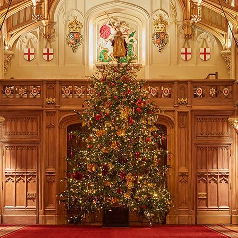 This winter the State Apartments at Windsor Castle are decked with glittering decorations to celebrate the festive season. Royal Decorations, Christmas Gift Inspiration, Royal Christmas, Large Christmas Tree, Glitter Decor, Winter Wonderland Christmas, Isabel Ii, Windsor Castle, Victorian Christmas