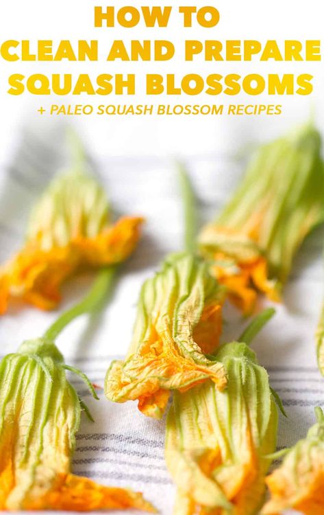 Squash blossoms are a delicious edible flower that you can find in your garden or occasionally at the farmer’s market. It’s serious impossible for me to pass them by as I absolutely love the idea of eating flowers. There is nothing more beautiful and girly that to have that bright yellow flower on your plate. That being said, they can be somewhat intimidating so here’s how to clean and prepare squash blossoms. Squash Blossoms Recipes, Zucchini Blossom Recipes, How To Use Summer Squash, Squash Blossoms, Squash Flowers Recipes, Squash Flower Recipes, How To Cook Delicate Squash, Stuffed Squash Blossom Recipe, How To Prepare Squash