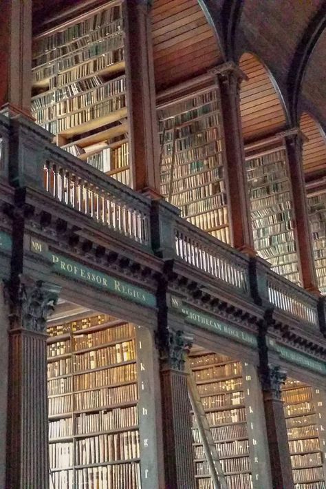 The great library in Edinburgh! We love to read :) #travelinspiration #edinburgh Edinburgh University Library, Glasgow University Library, University Of Glasgow Library, Living In Edinburgh Aesthetic, Dublin In Autumn, Edinburgh University Student Aesthetic, University Of Edinburgh Aesthetic, Edinburgh University Aesthetic, Edinburgh Library