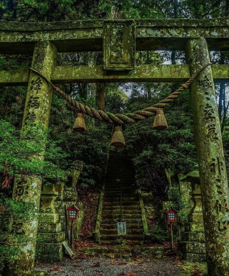 Japanese Temple Aesthetic, Fantasy Shrine, Japanese Buildings, Japanese Forest, Japanese Nature, Japanese Shrine, Beppu, Japan Architecture, Japanese Temple