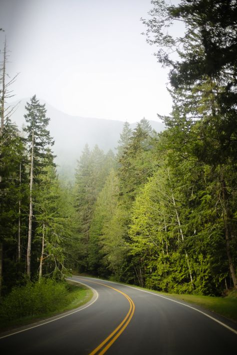 Dream Luxe Farm Stay - Evergreen Acres Farm, Bainbridge Island — Lauren Spindle Seattle Gum Wall, Sweet Nursery, Beautiful Farm, Bainbridge Island, Farm Stay, Olympic National Park, Above The Clouds, How To Make Breakfast, Giveaway Contest