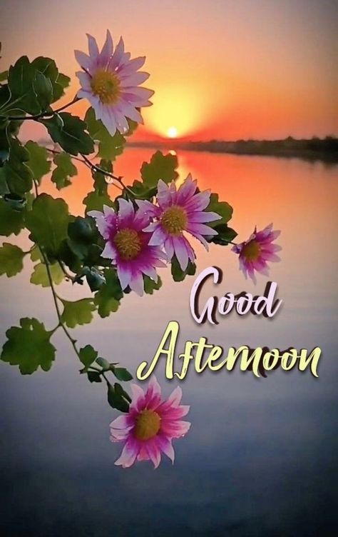 Good Afternoon Blessings, Good Afternoon Images Hd, Afternoon Blessings, Good Afternoon Images, Good Morning Rainy Day, Afternoon Images, Good Afternoon Quotes, Afternoon Quotes, Good Night Prayer