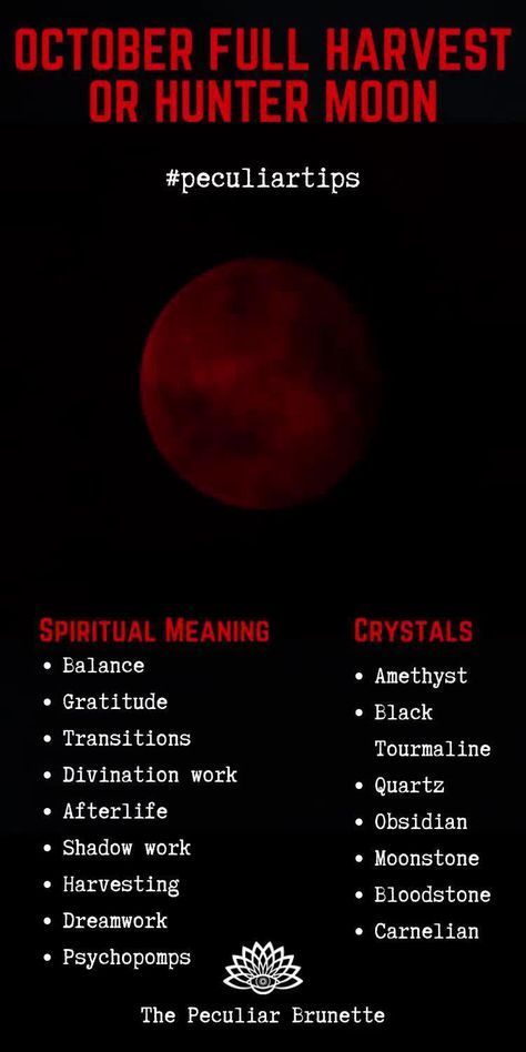 Hunter Moon Ritual, Hunters Moon Ritual, Desert Witchcraft, Blood Moon Spiritual Meaning, Moon Mapping, Witchy Calendar, October Full Moon, Full Moon Meaning, Hunter Moon