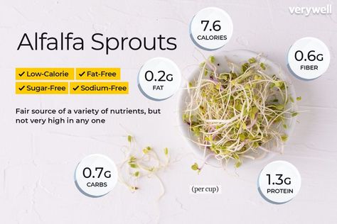 How Many Carbs Are in Alfalfa and Mung Bean Sprouts? Beans Nutrition Facts, Alfalfa Sprouts, Sugar Free Diet, Good Source Of Fiber, Beef Liver, Mung Bean, Bean Sprouts, Nutrition Information, Healthy Living Lifestyle