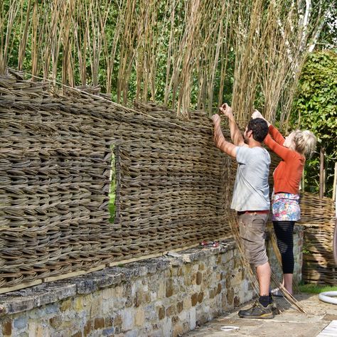 Willow Fence Panels, Wire And Wood Fence, Living Willow Fence, Willow Fence, Living Willow, Tree House Plans, Natural Fence, Landscape Structure, Willow Weaving