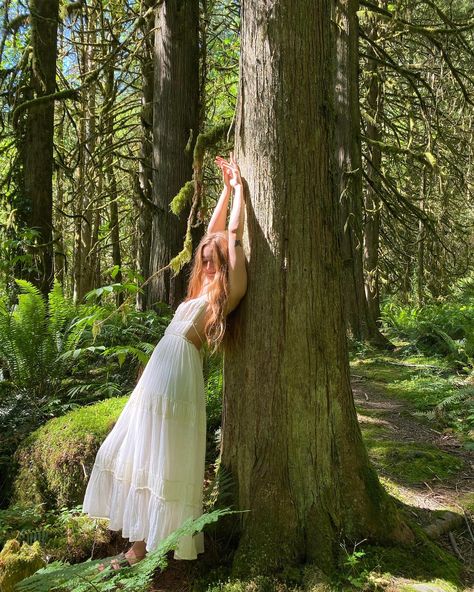 Ethereal Photoshoot Nature, Earthy Photoshoot, Forest Photoshoot, Fairy Photoshoot, Fairies Photos, Nature Photoshoot, Fairy Aesthetic, Senior Photoshoot, Estilo Chic