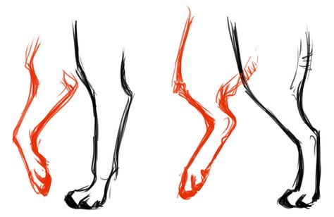 Cat Paw Anatomy, Legs Reference, Lion Anatomy, Canine Anatomy, Learn To Draw People, Leg Anatomy, Wrinkly Dog, Paw Drawing, Anatomy Bones