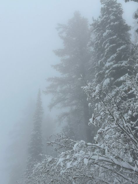 Trees in the fog on the mountains January 1st Aesthetic, Snowy Sky Aesthetic, February Winter Aesthetic, January Aethestic, Winter Aesthetic Nature, January Core Aesthetic, Winter Fae Aesthetic, January Vibes Aesthetic, February Aesthetic Photography