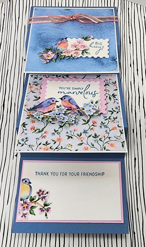 2024 Celebration, Joy Fold Card, Card Making Ideas Easy, Card Backgrounds, Fancy Fold Card Tutorials, Organic Nature, Step Cards, Interactive Cards, Designer Series Paper